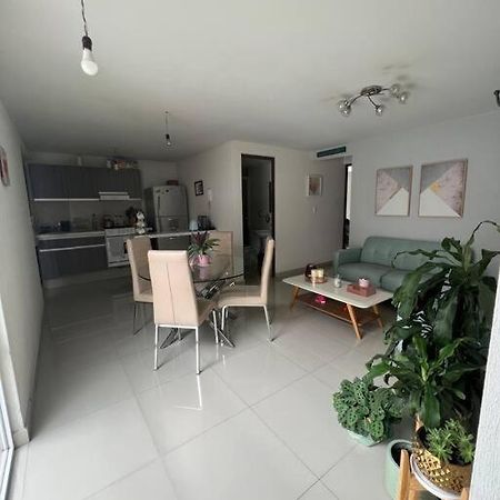 Departamento En Coyoacan Mexico By Eksteriør billede